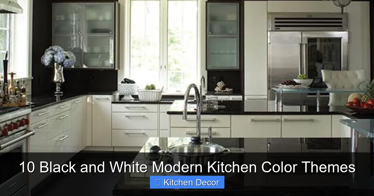 10 Black and White Modern Kitchen Color Themes