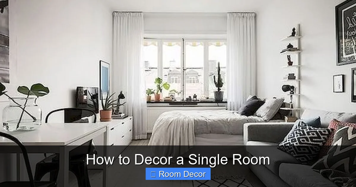 How to Decor a Single Room