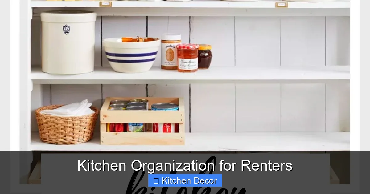 Kitchen Organization for Renters