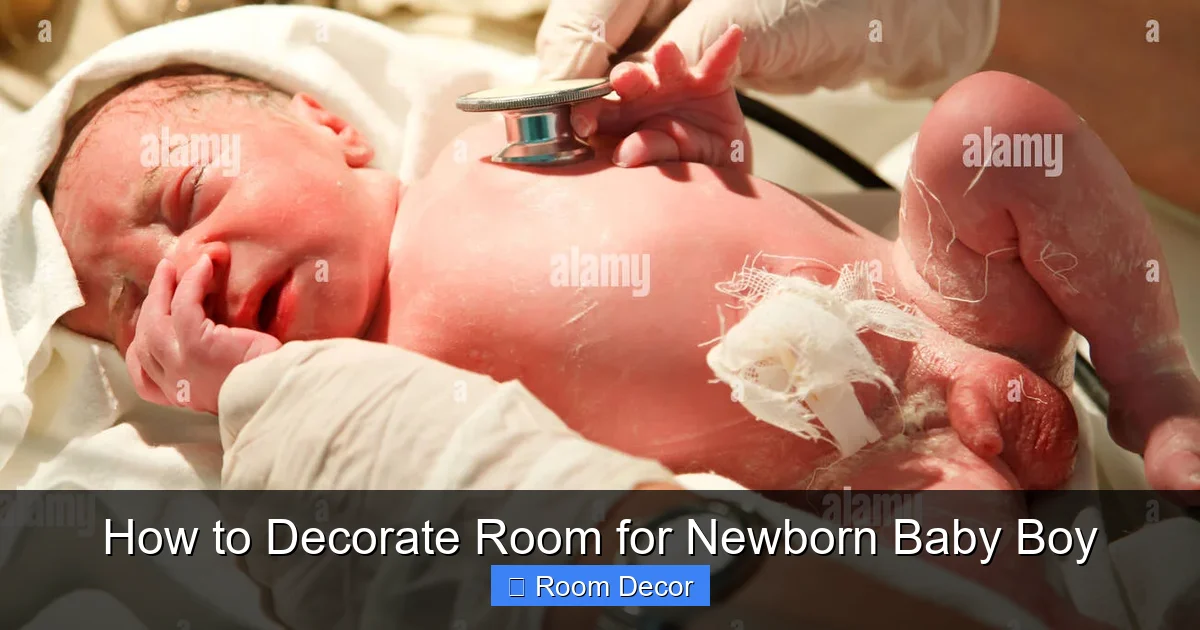 How to Decorate Room for Newborn Baby Boy